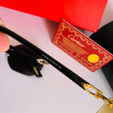 Cartier CT0439 S